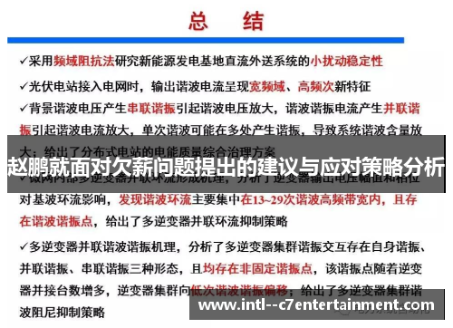 赵鹏就面对欠薪问题提出的建议与应对策略分析